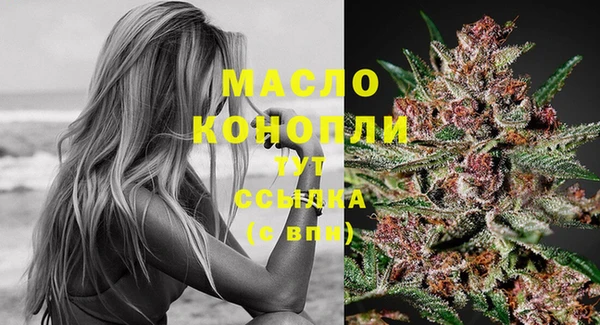 дживик Зерноград